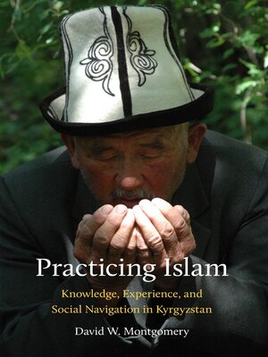 cover image of Practicing Islam